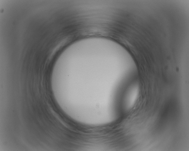 X0000062840735200601130940