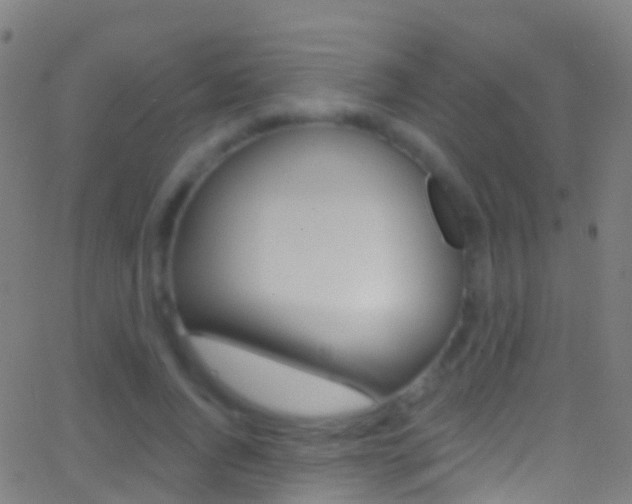 X0000062840736200601130940