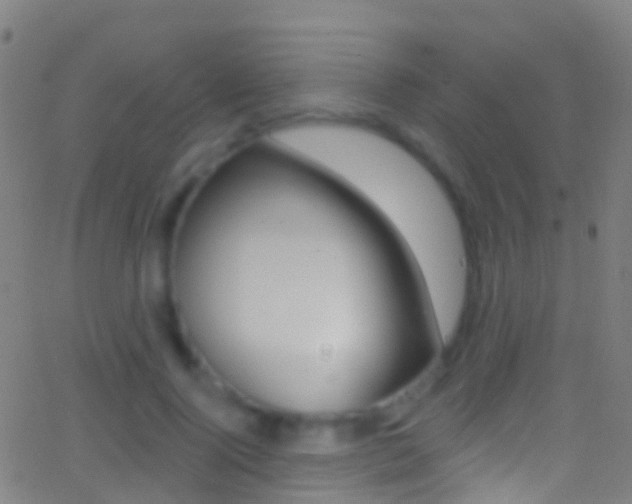 X0000062840740200601130940