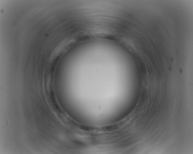 X0000062840742200601130940