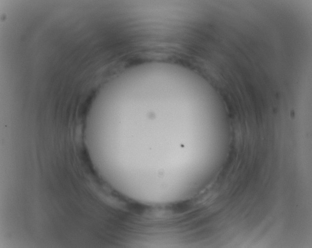 X0000062840745200601130940