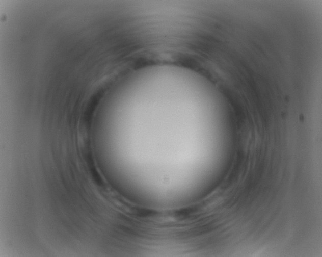 X0000062840747200601130940