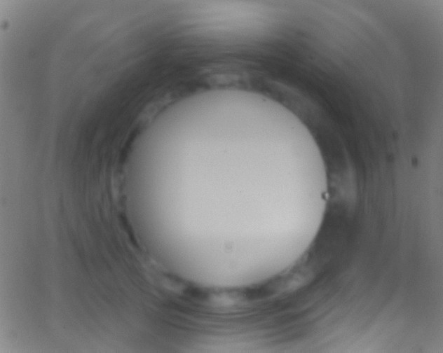 X0000062840753200601130940