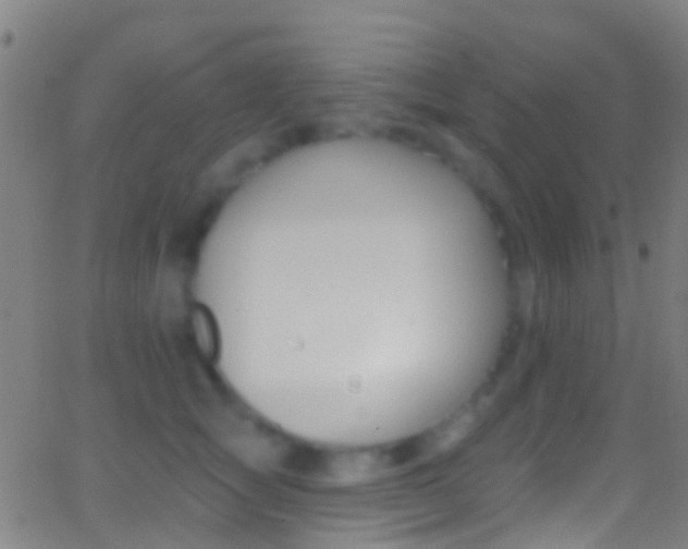 X0000062840757200601130940