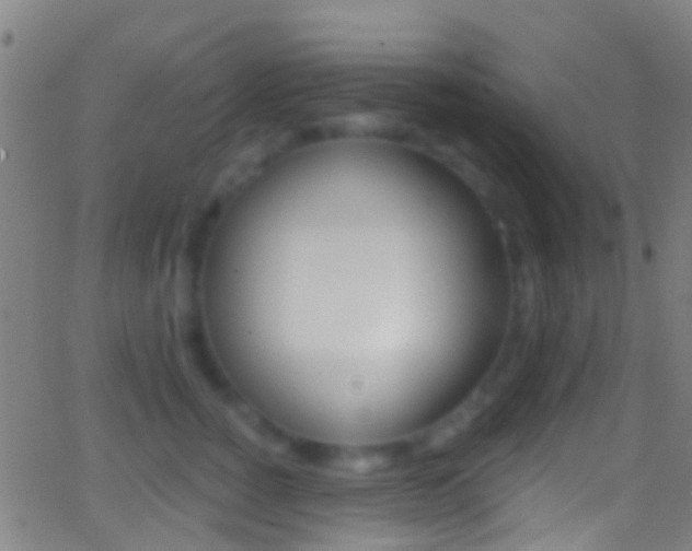 X0000062840760200601130940