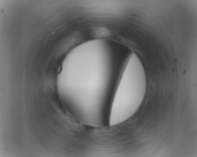 X0000062840763200601130940