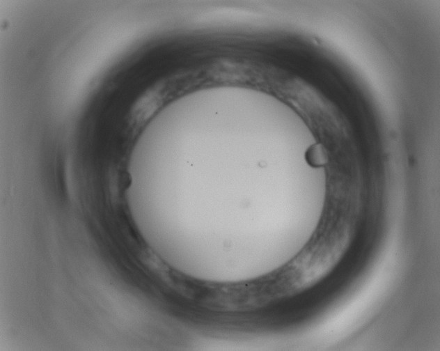 X0000062840765200601130940