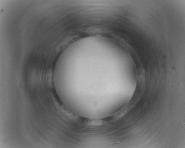 X0000062840767200601130940