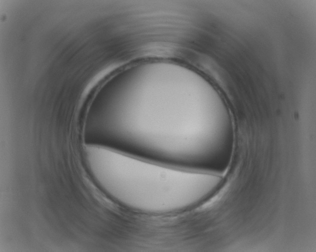 X0000062840779200601130939