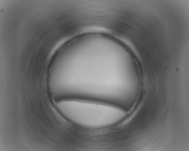 X0000062840783200601130939