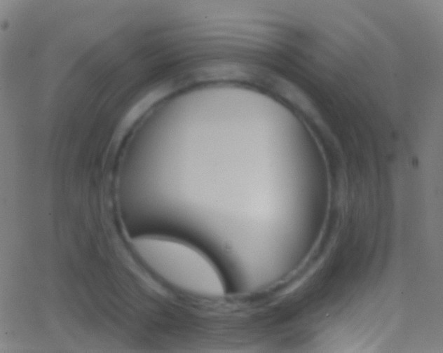 X0000062840786200601130939