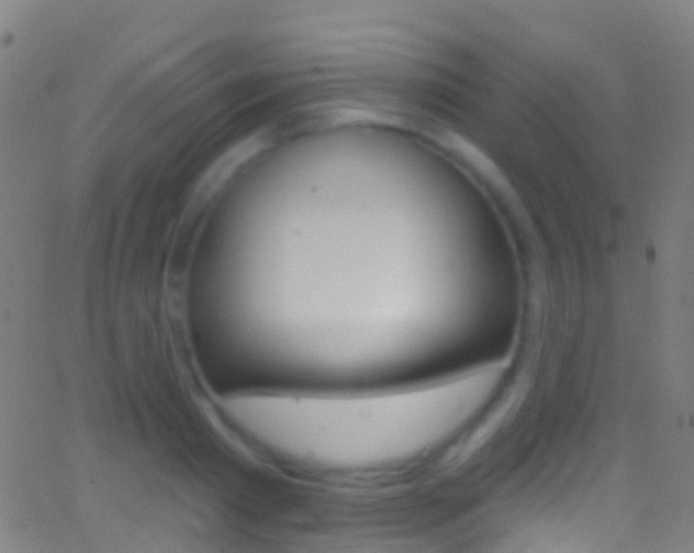 X0000062840793200601130939