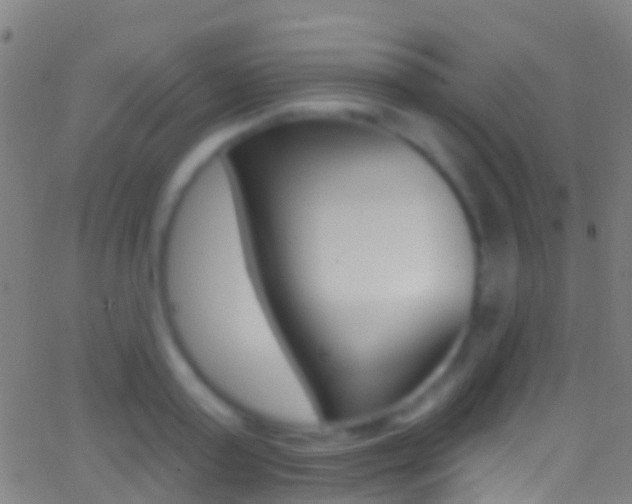 X0000062840795200601130939