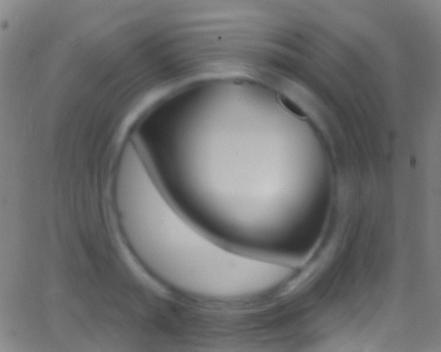 X0000062840797200601130939