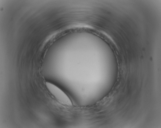 X0000062840823200601130938