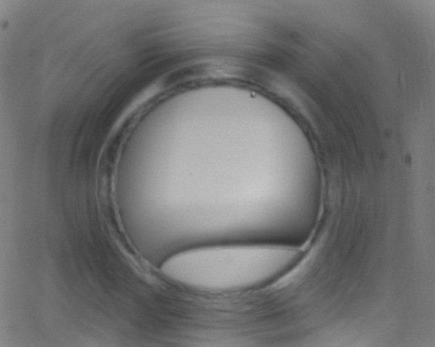 X0000062840827200601130938