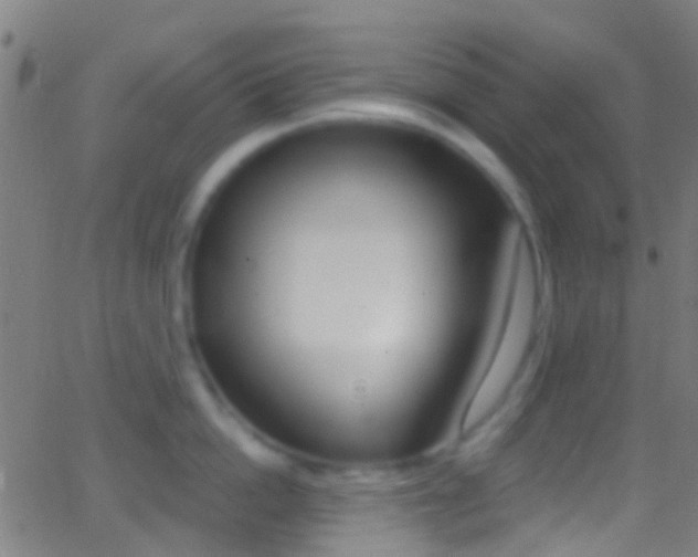 X0000062840862200601130938