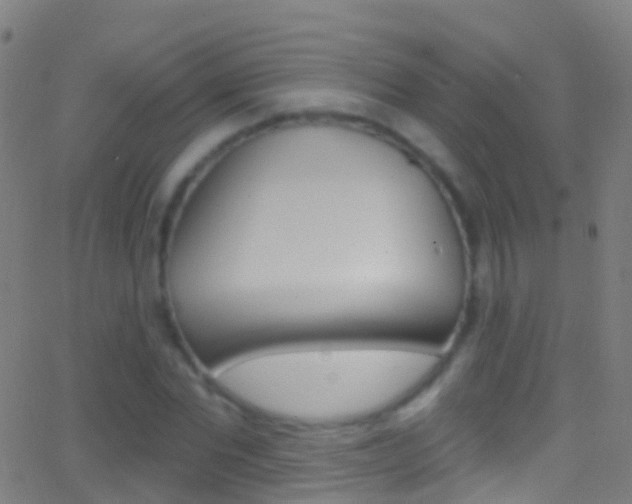 X0000062840877200601130938