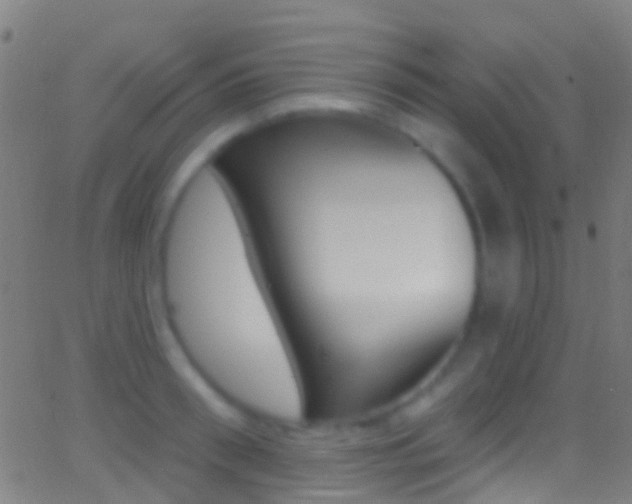 X0000062840898200601130937
