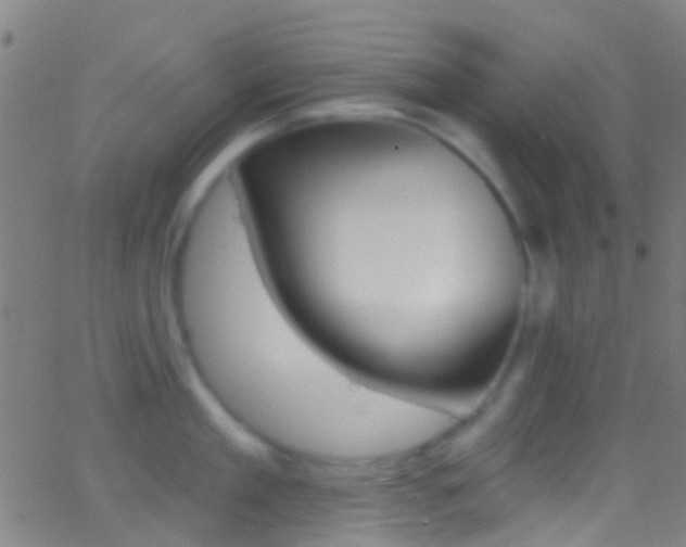 X0000062840909200601130937