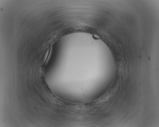 X0000062840916200601130936