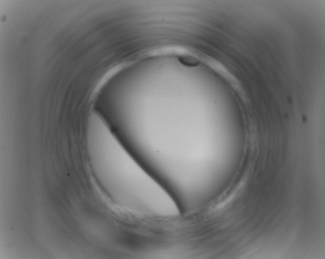 X0000062840945200601130937