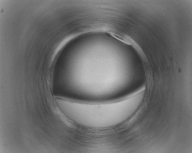 X0000062840956200601130937