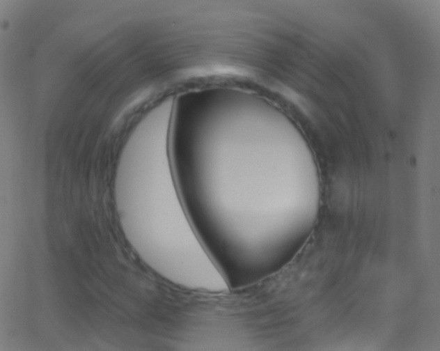 X0000062840967200601130936