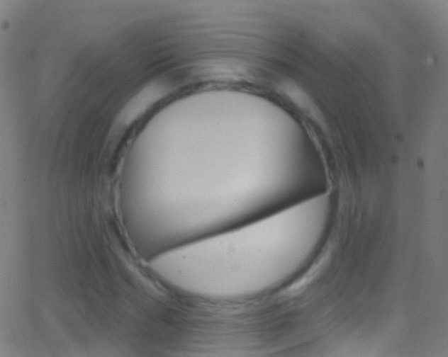 X0000062840970200601130936
