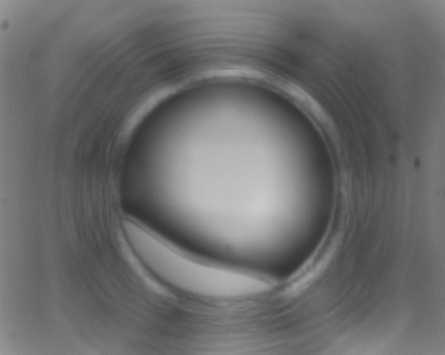 X0000062840993200601130936
