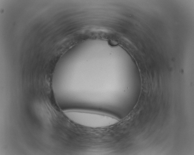 X0000062841013200601130935