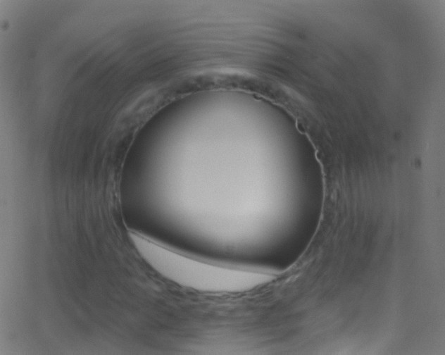 X0000062841014200601130935