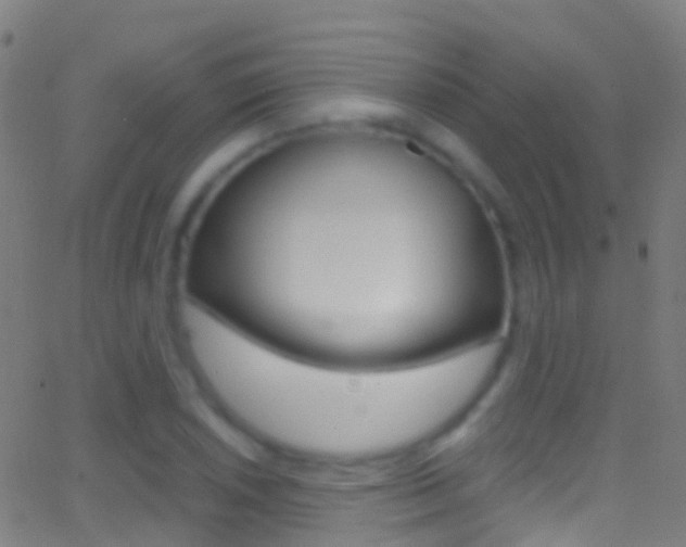 X0000062841026200601130935