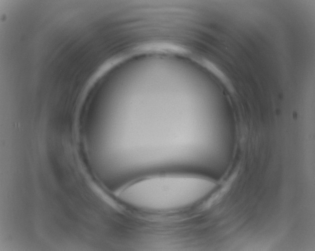 X0000062841037200601130935