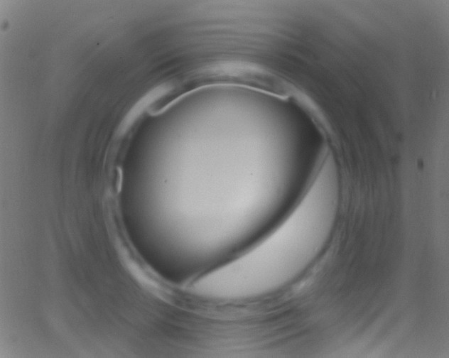 X0000062841042200601130935