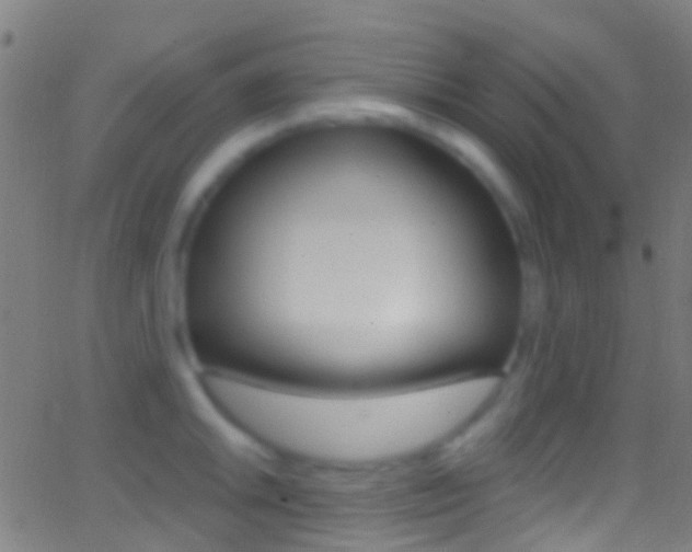 X0000062841046200601130935