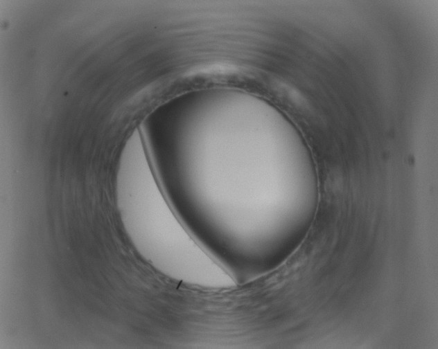 X0000062841062200601130934