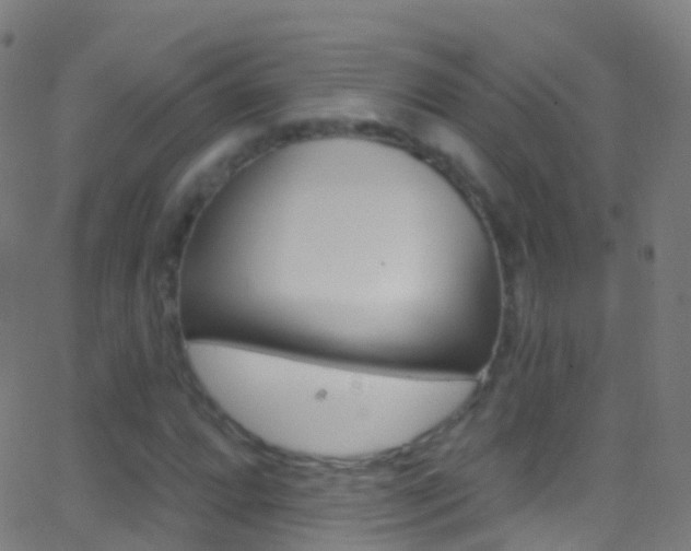 X0000062841064200601130934