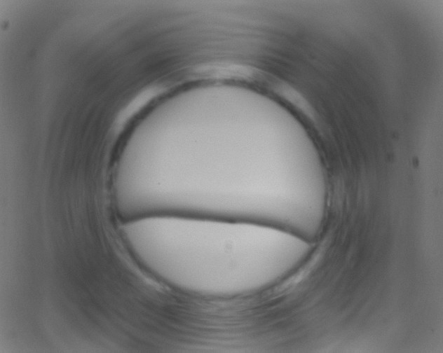 X0000062841071200601130934