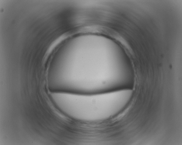 X0000062841075200601130934