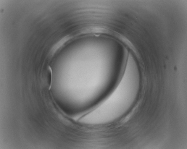 X0000062841081200601130934