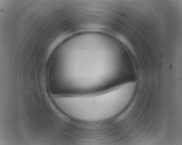 X0000062841085200601130934
