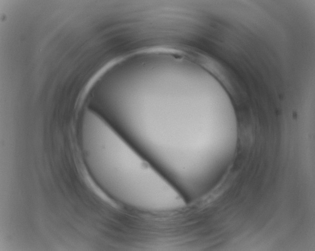 X0000062841092200601130934
