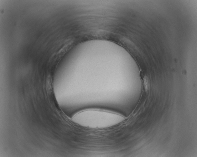 X0000062841107200601130933