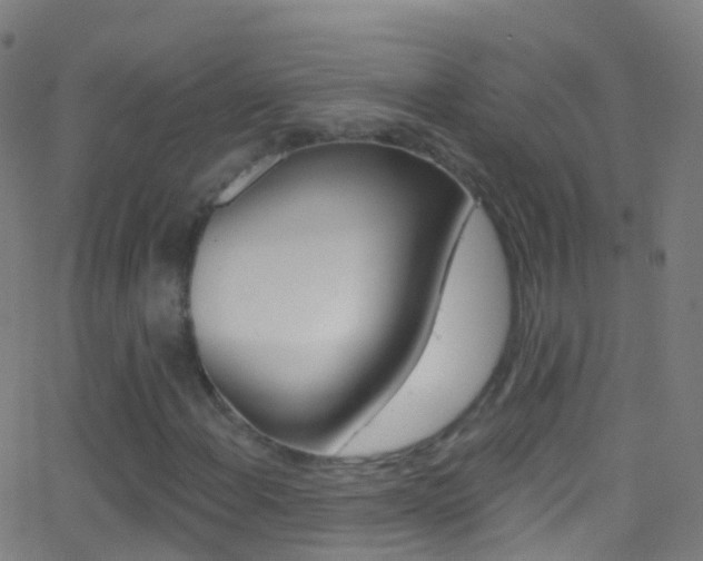 X0000062841108200601130933