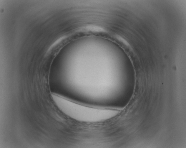 X0000062841112200601130933