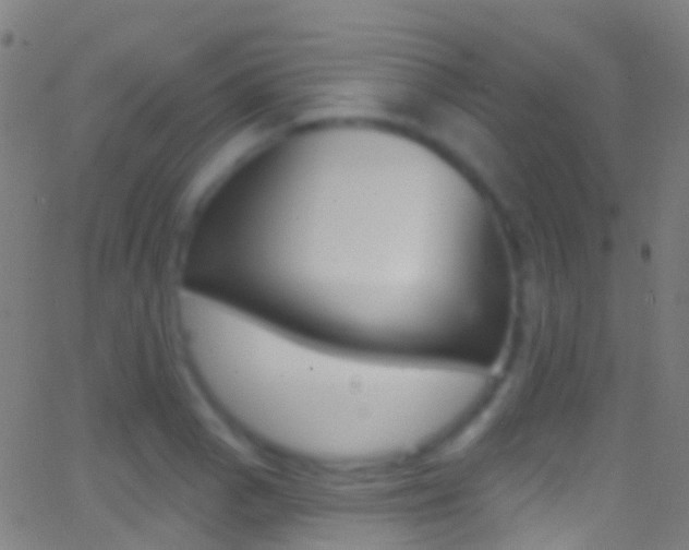 X0000062841129200601130933