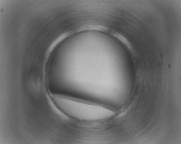 X0000062841135200601130933