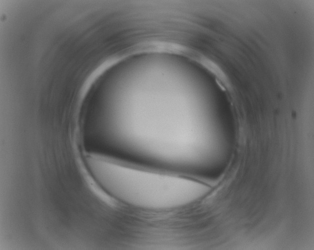 X0000062841136200601130933