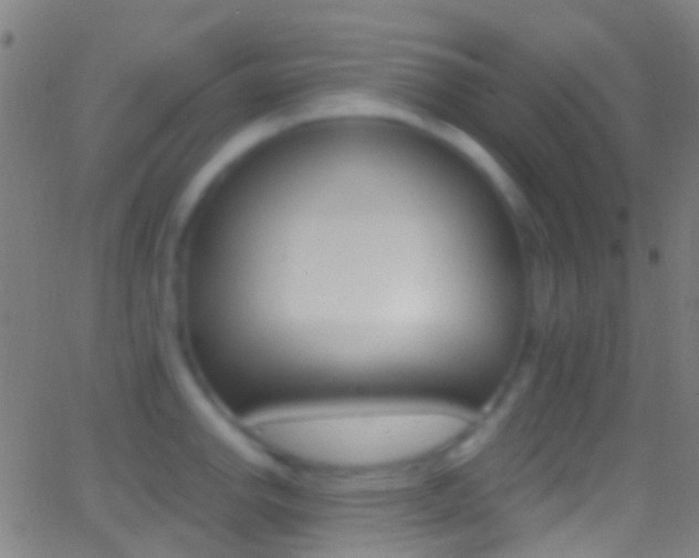X0000062841142200601130933